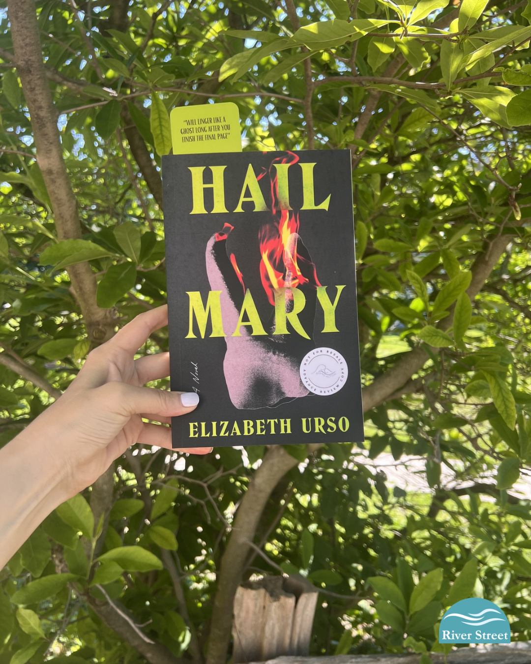Power Q &amp; A with Elizabeth Urso