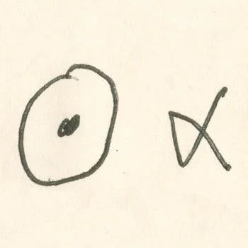 350-Nous-Alpha-Logo.jpg