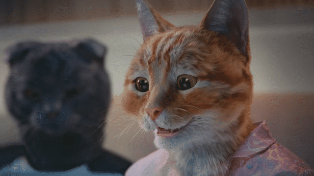 undefined-low (1).gif