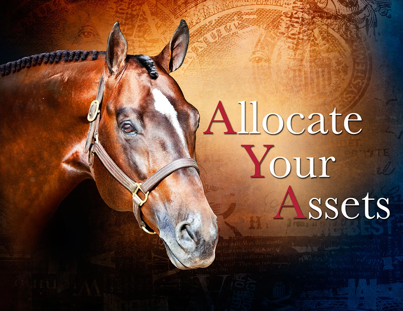 Allocate-Your-Assets.jpg