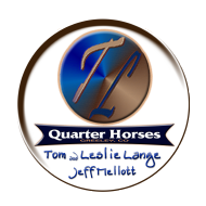 Tom and Leslie Quarter Horses