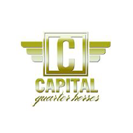Capital Quarter Horses