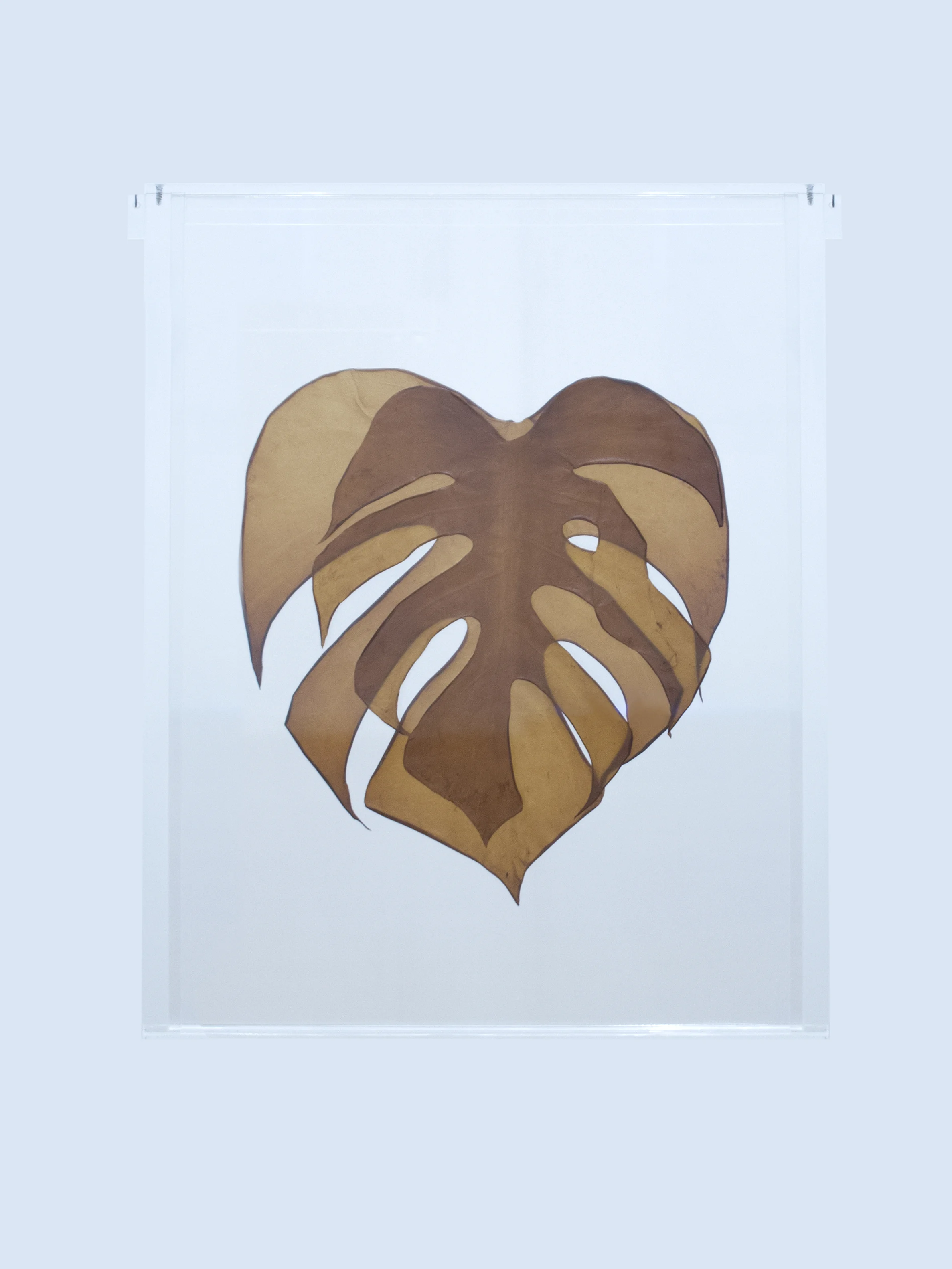 LastingLeaf20_ID63.jpg