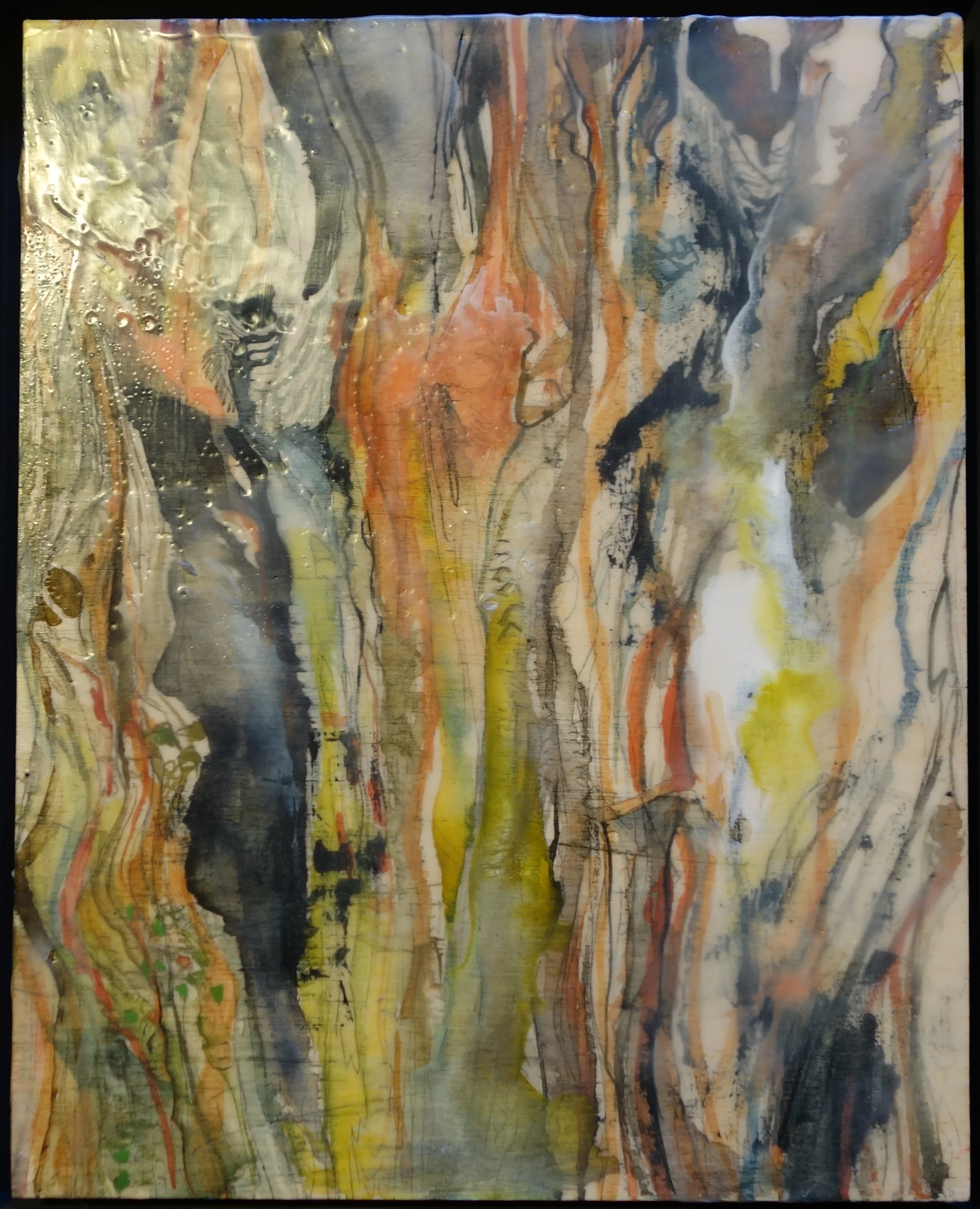 Drenthe tree bark study, 2017