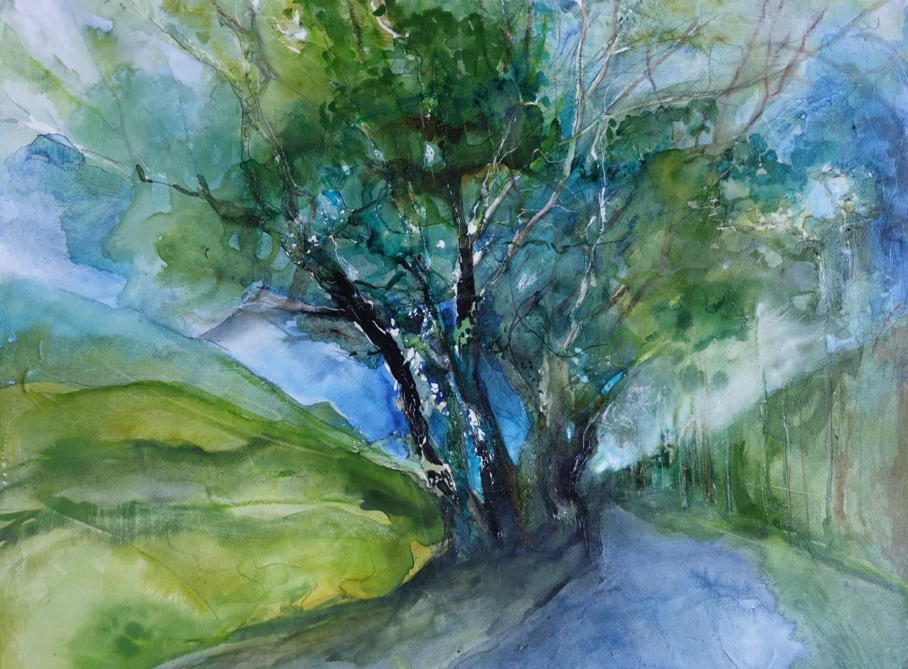 On the road to Connemara National Park, Ireland, 2017