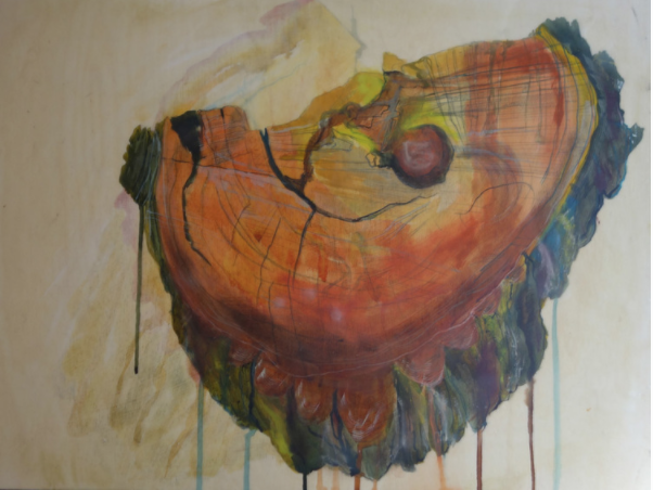 Severed cross section found at Parc King George, Montreal, 2015