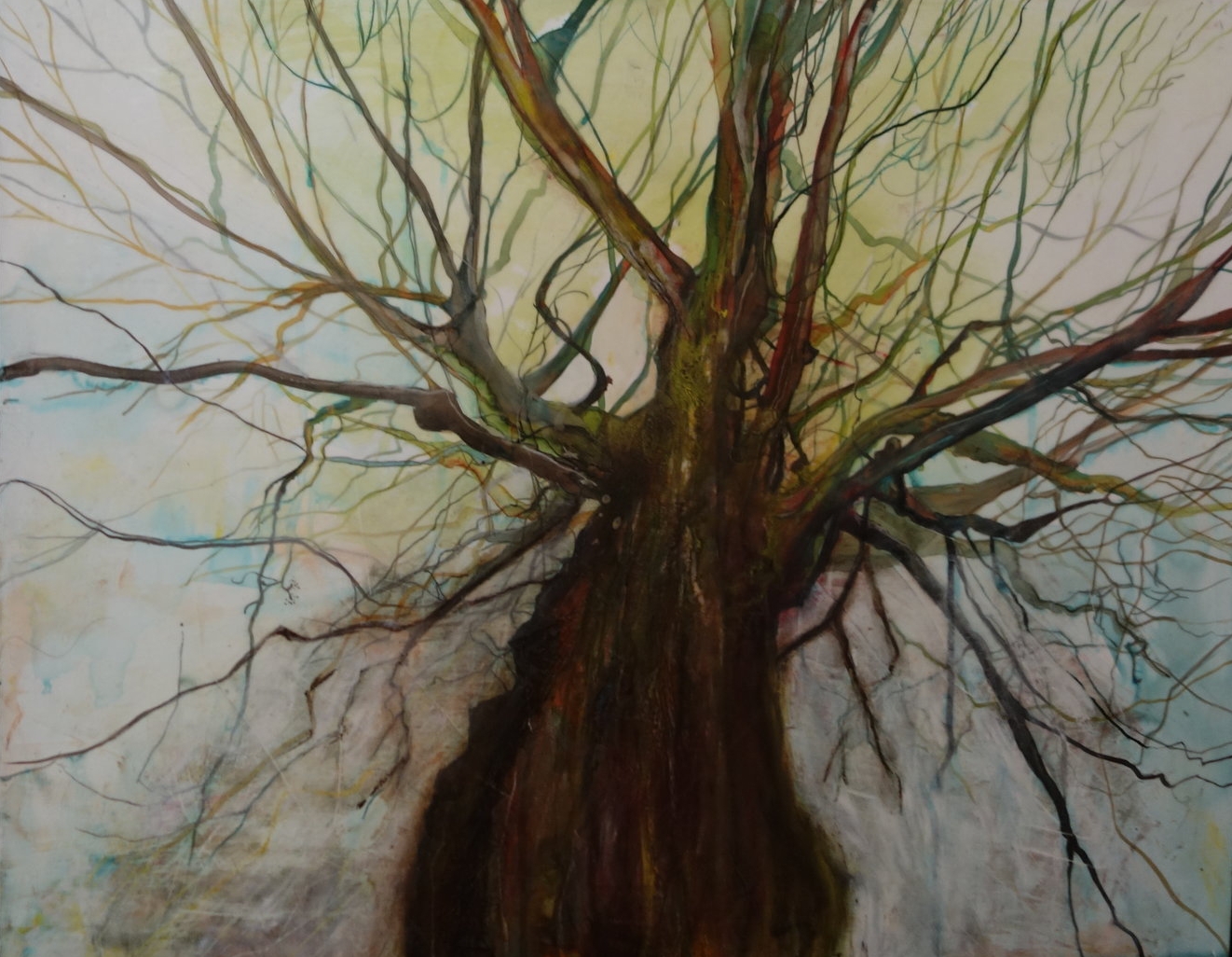 23rd tree on the north side of Villa Marie lane, Montreal, 2014