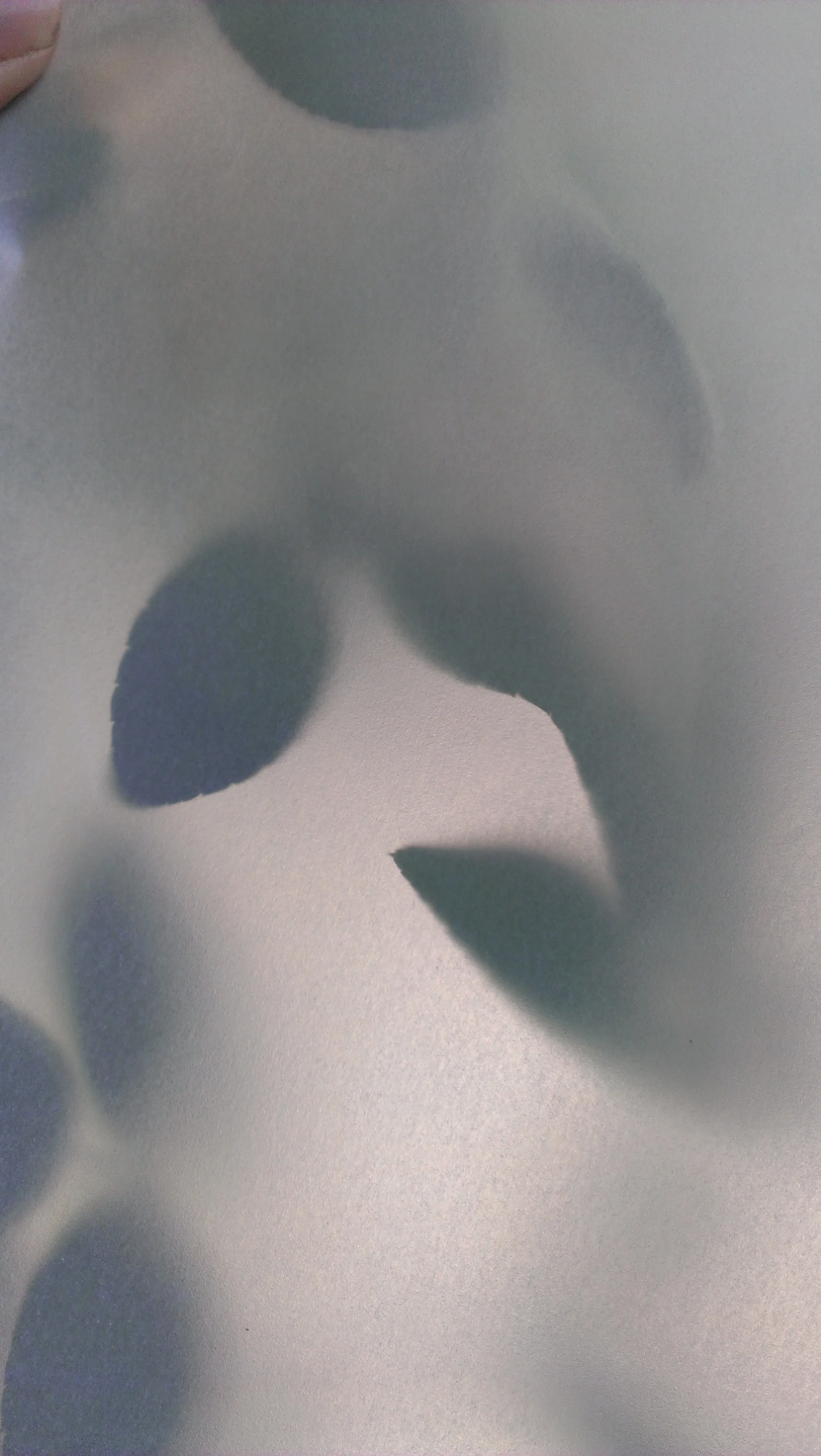 IMAG0393_BURST001.jpg