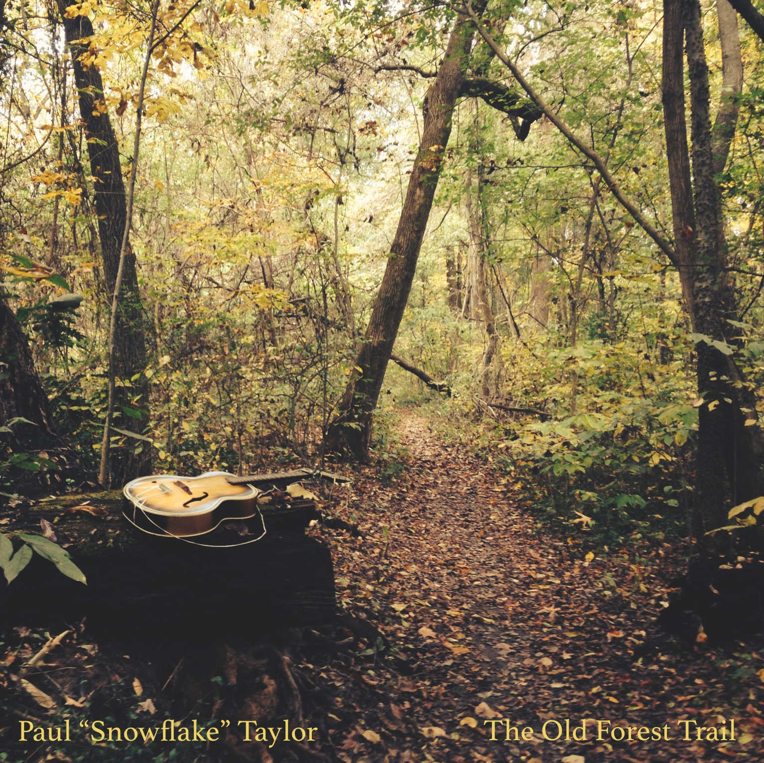 Paul Taylor / The Old Forest Trail EP: Percussion