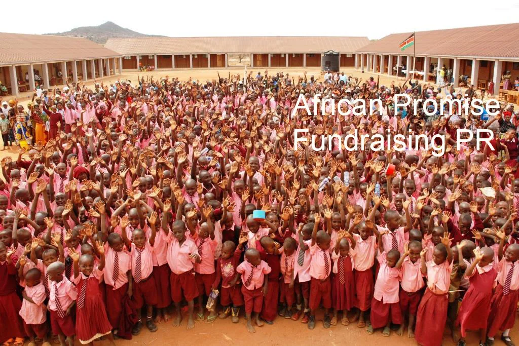 African Promise.jpg
