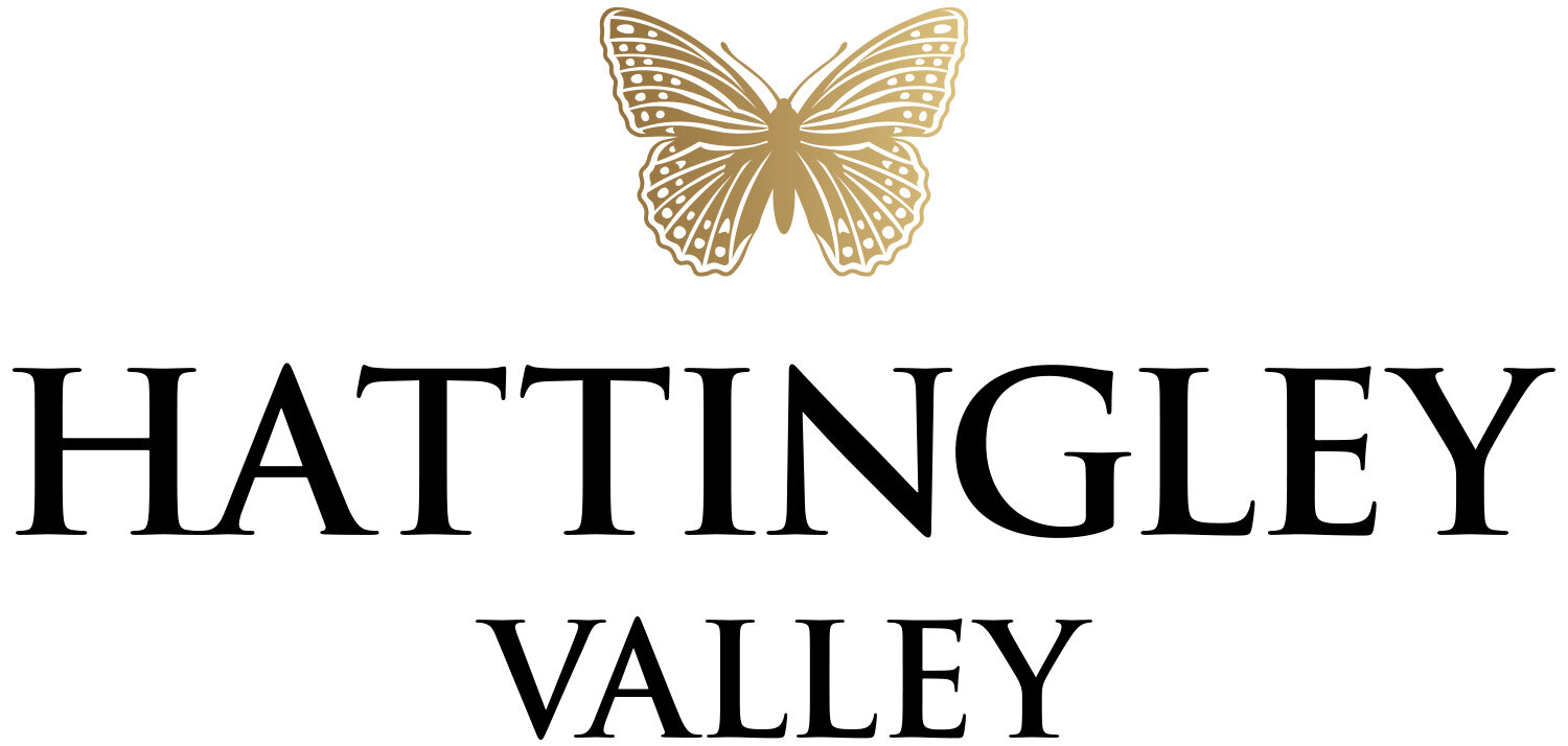 Hatting+Valley+Logo_Black&Gold.jpg