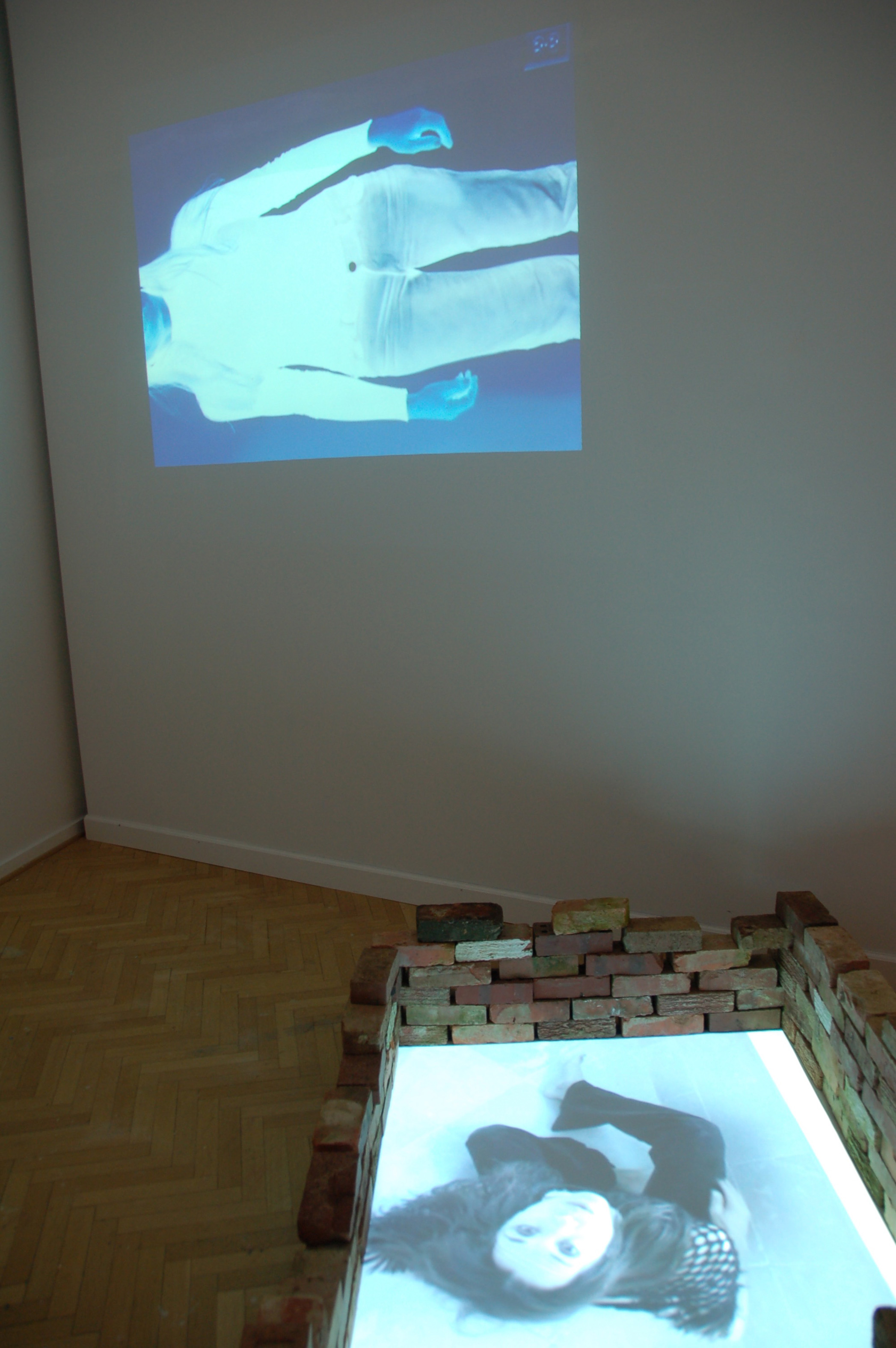  Aseptic Profile Video Installation 2010   