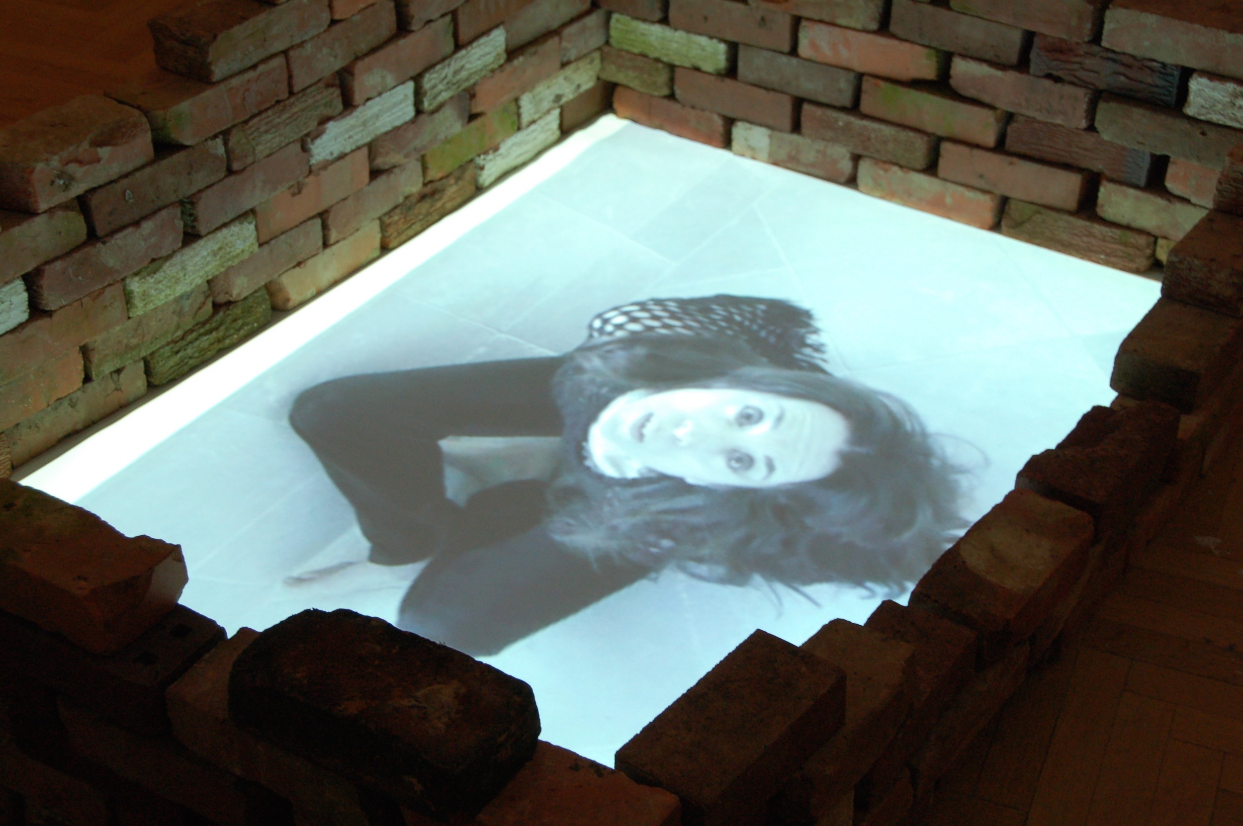 Aseptic Profile Video Installation 2010