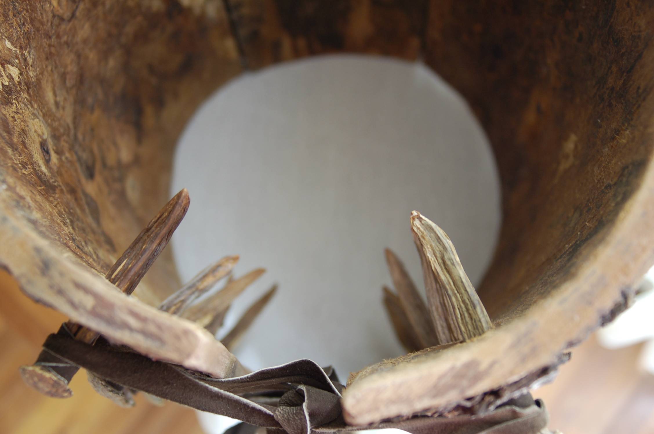 Corset El Arbol WWF Project Bolivia 2006