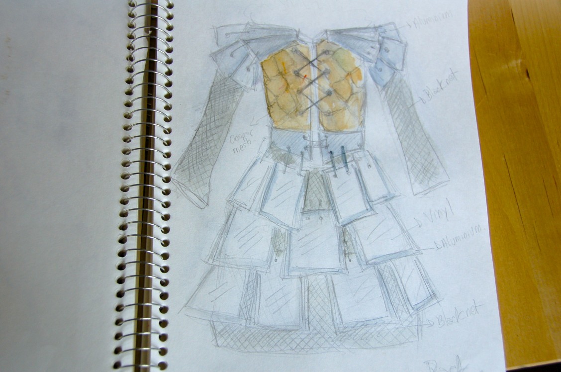 Warrior /sketch 2008