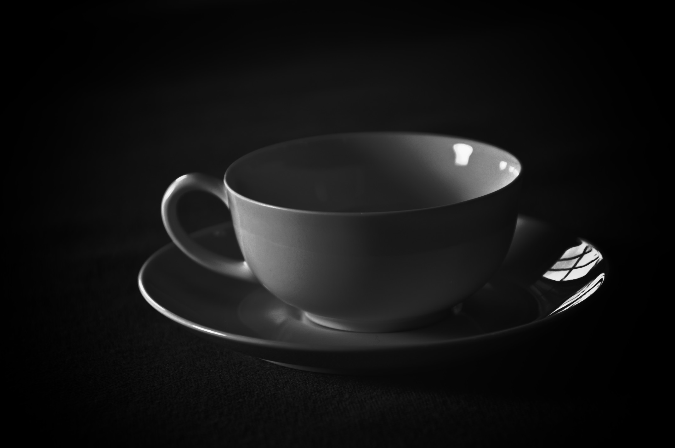 Not that still-life 2012