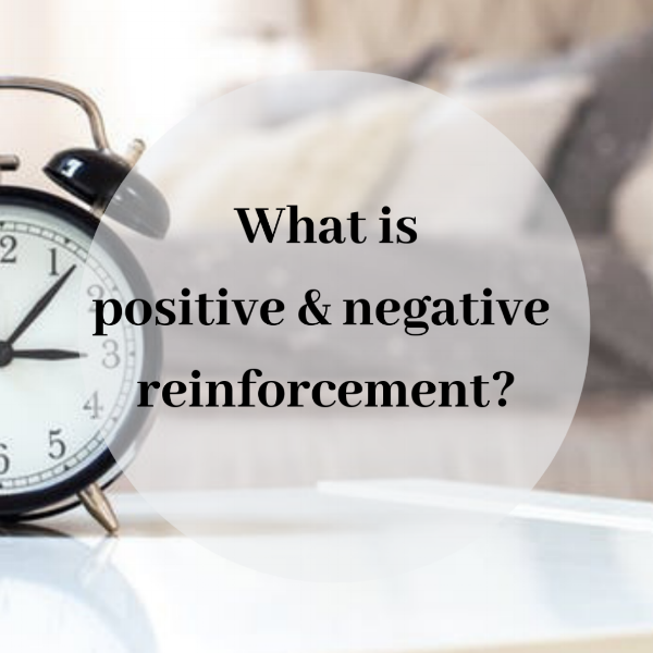 What is Positive and Negative Reinforcement?