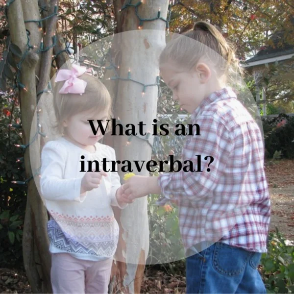 What is Intraverbal?
