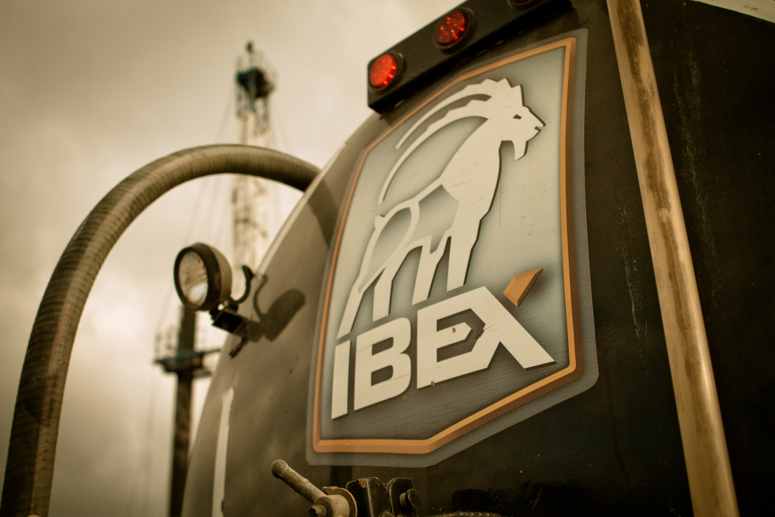 Ibex tank - back logo