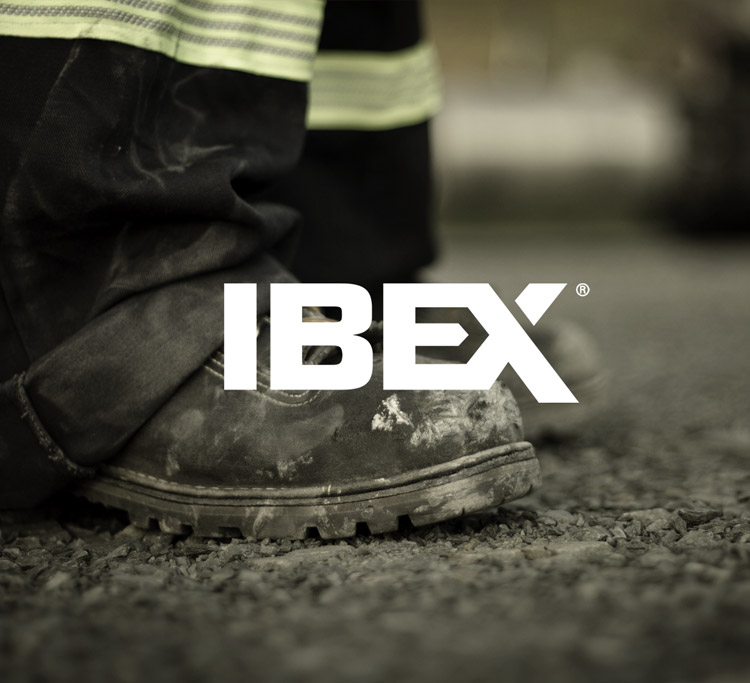 IBEX-Homepage-Thumbnail.jpg