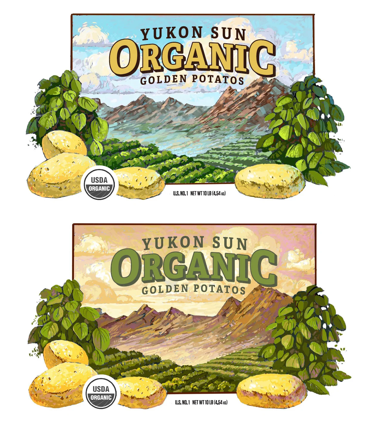 Illustration Color Options