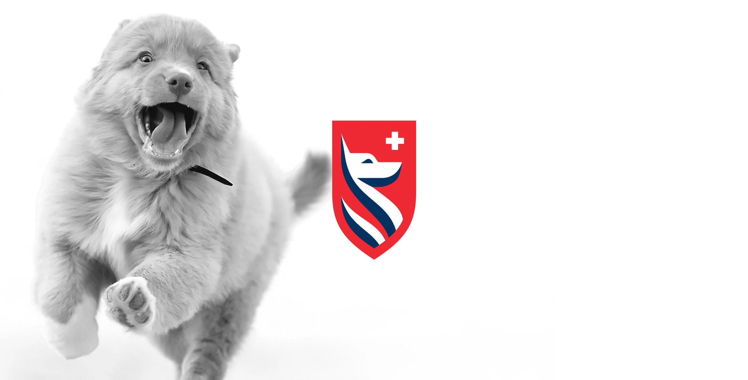 bioshield-header.jpg