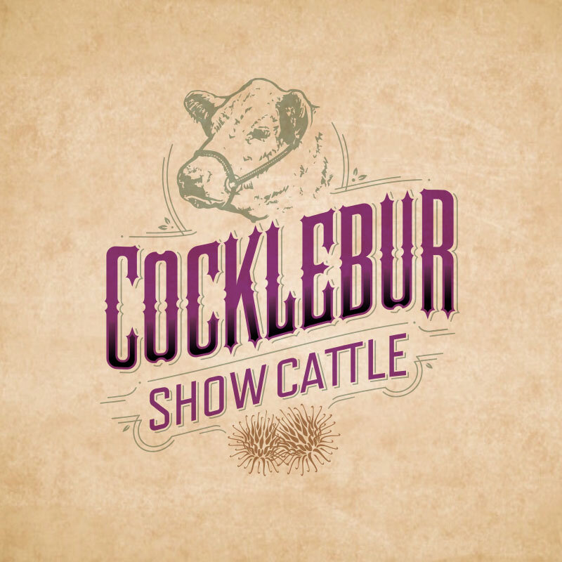 Beef Cattle Ranch Logo — Delorum.