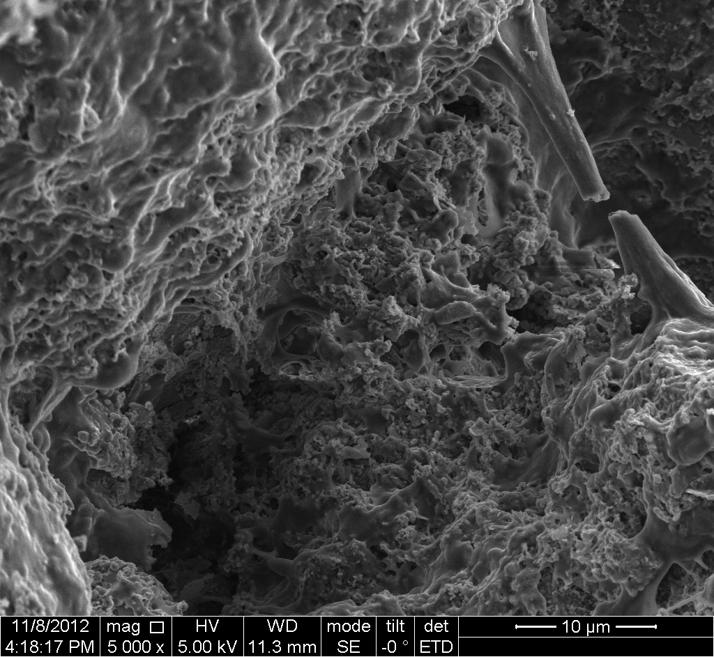 d1a_006.jpg