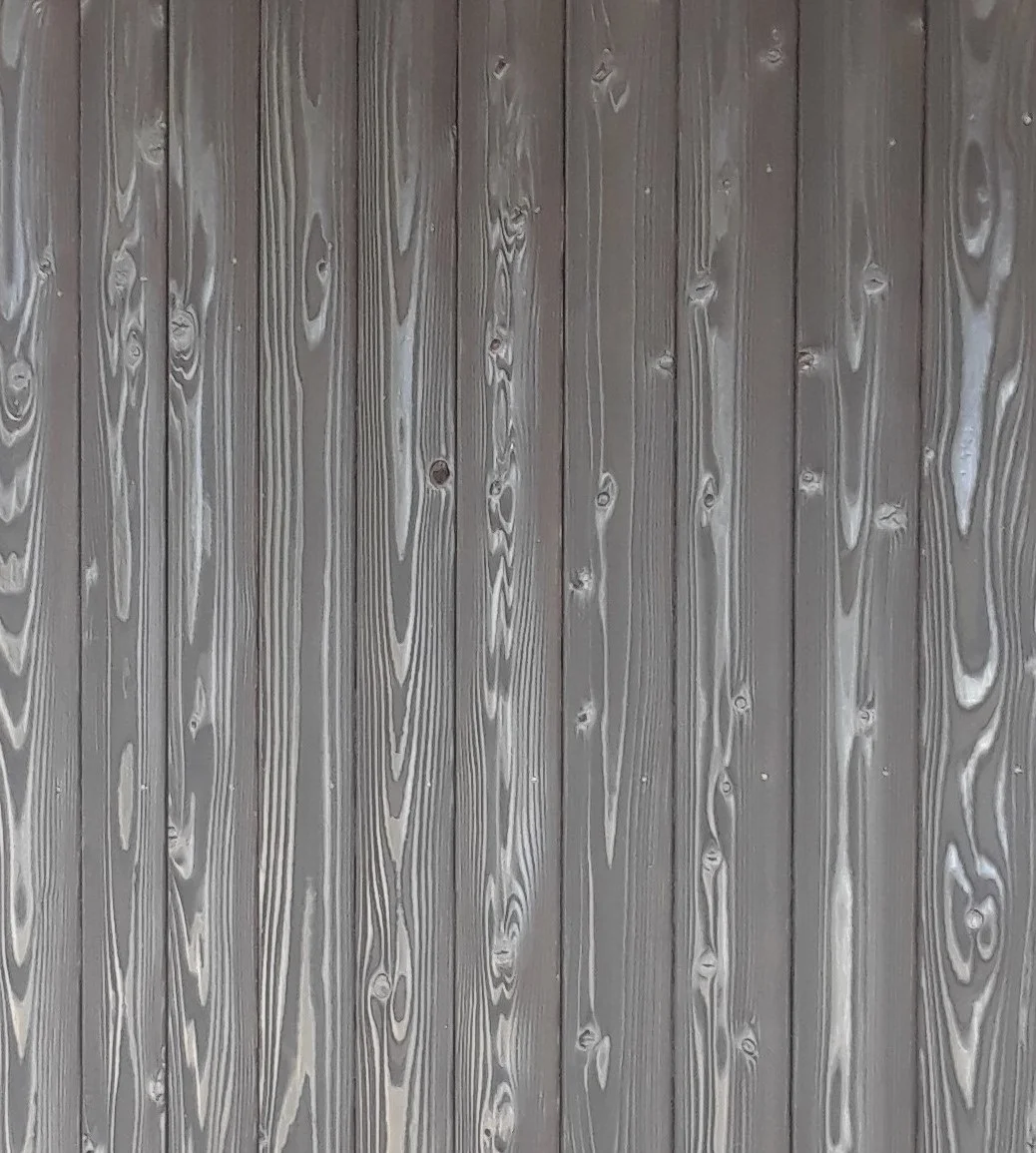 Sammamish Modern Rustic - Siding