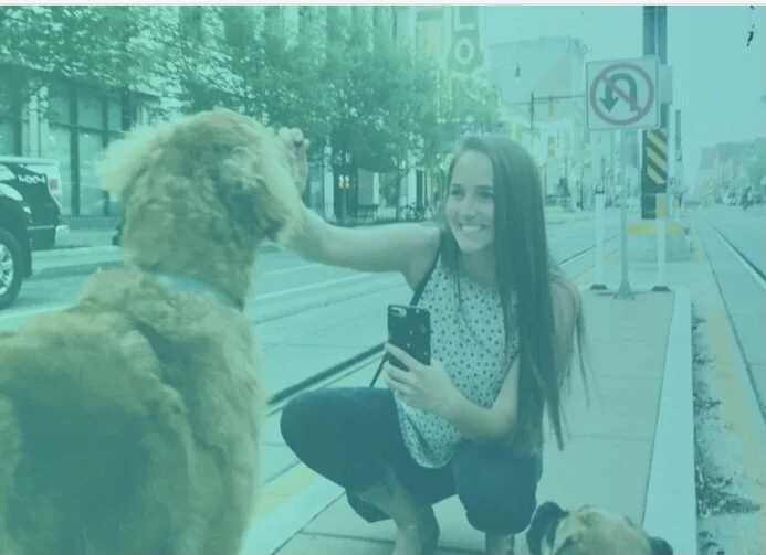 How Much Does It Cost To Put A Chip In A Dog