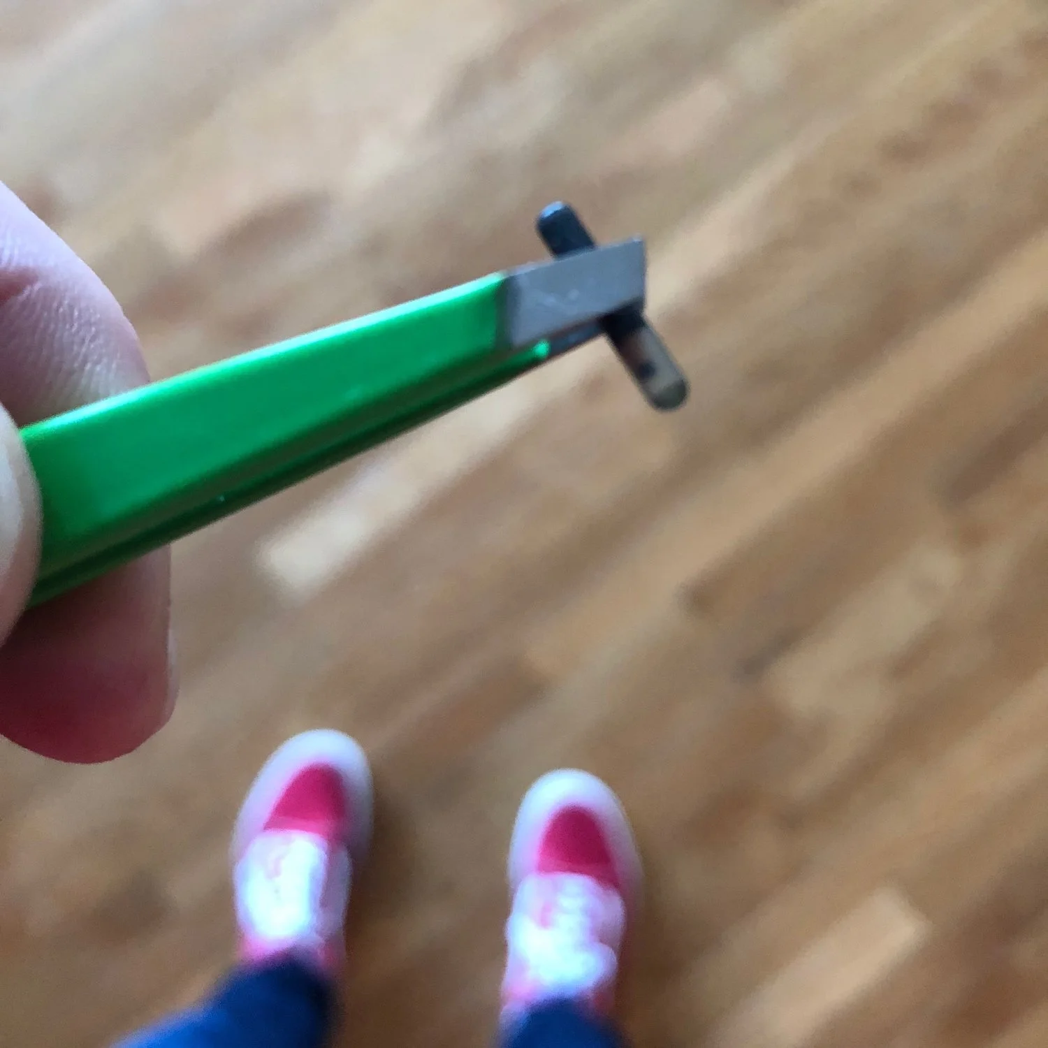 Peeva Microchip Facts. Every thing you need to know about pet microchips