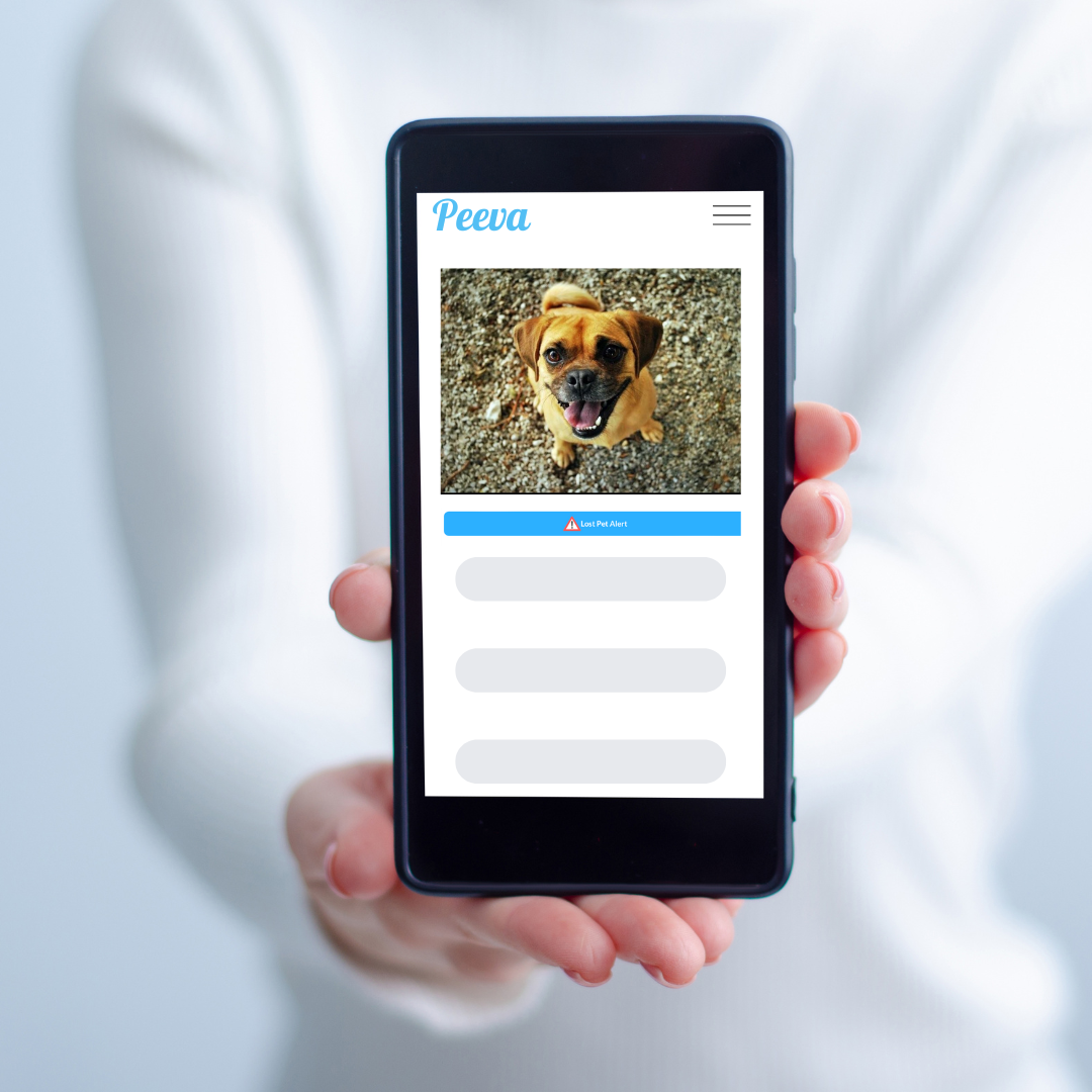 Peeva 5 Reasons Why You Need To Register Your Dog’s Microchip