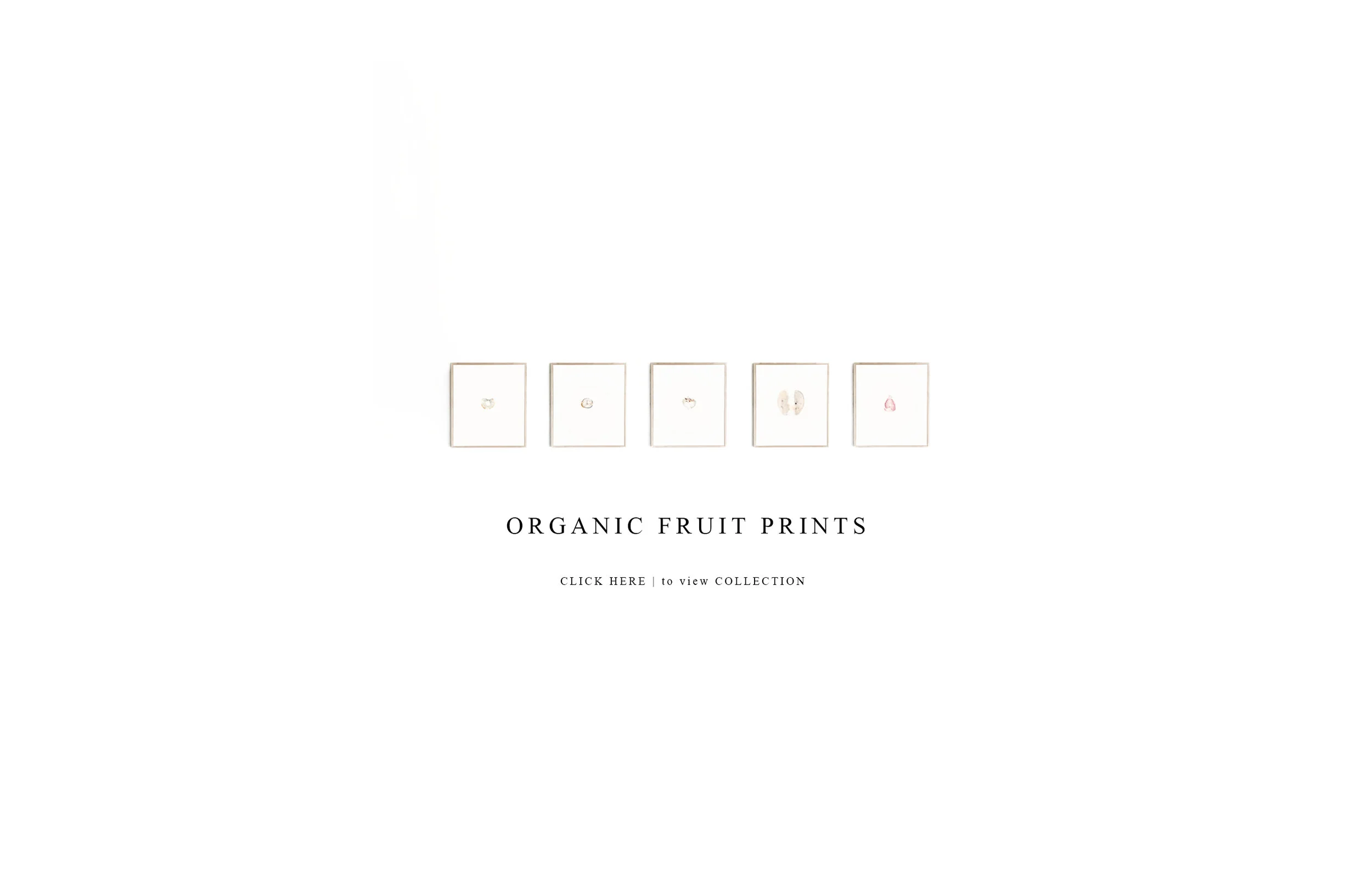 fruit.jpg