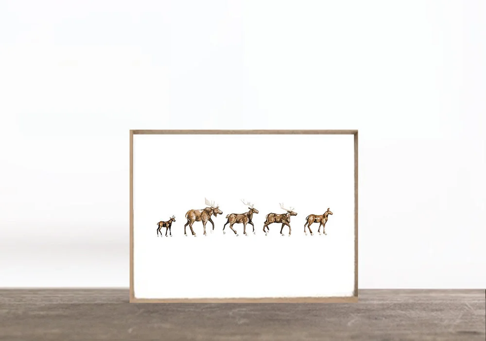 anltermarchdigitalprint.jpg