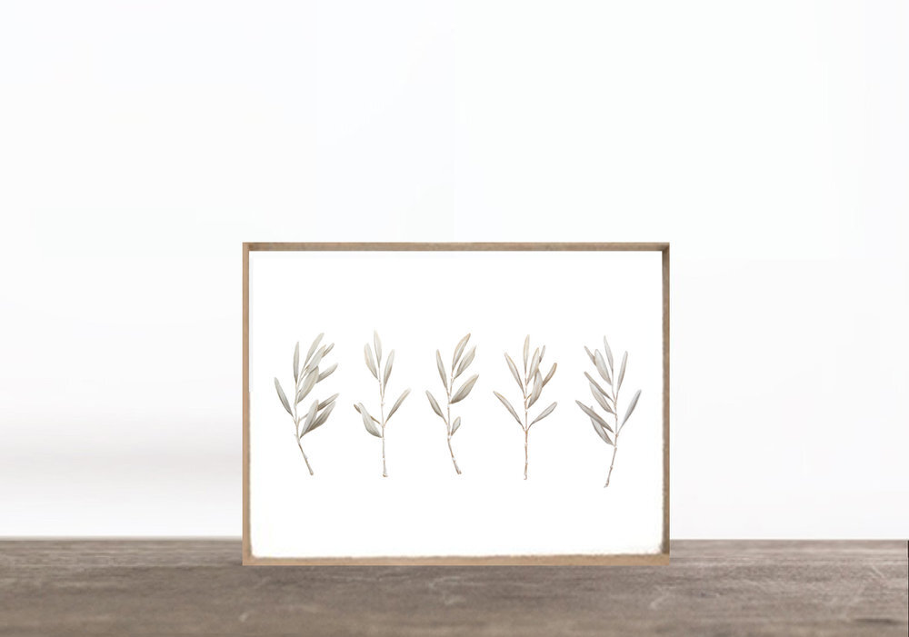 PRINT: OLIVE BRANCHES