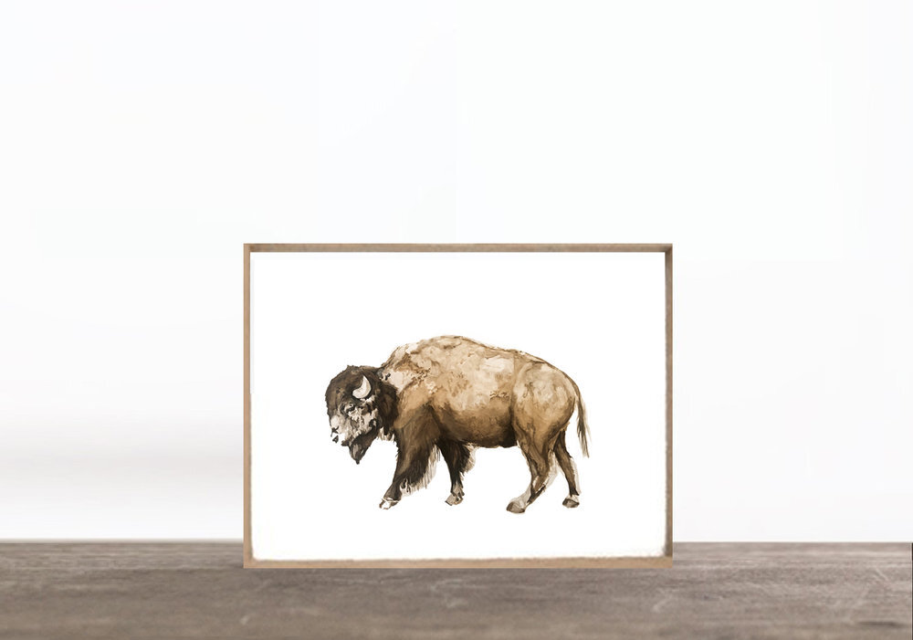 PRINT: BISON