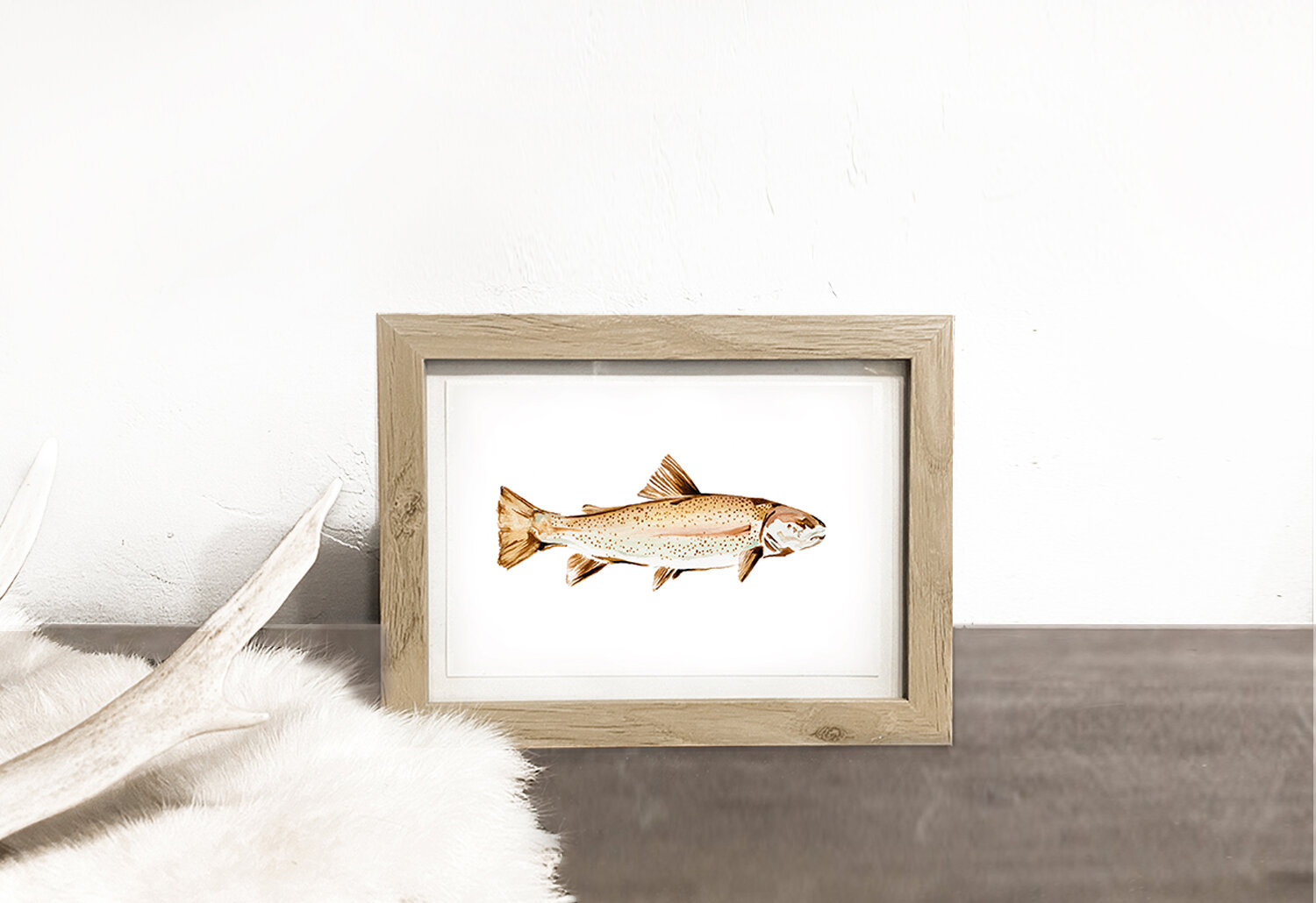FRAMED PRINTS: TROUT II