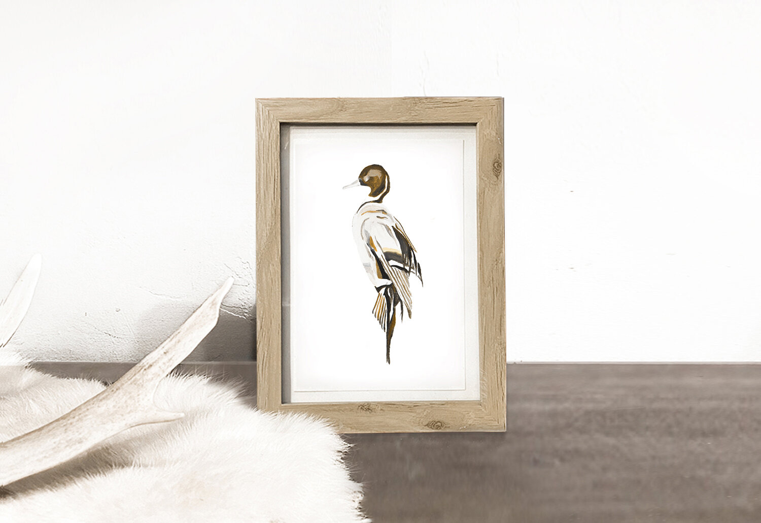 FRAMED PRINTS: RED MALLARD V