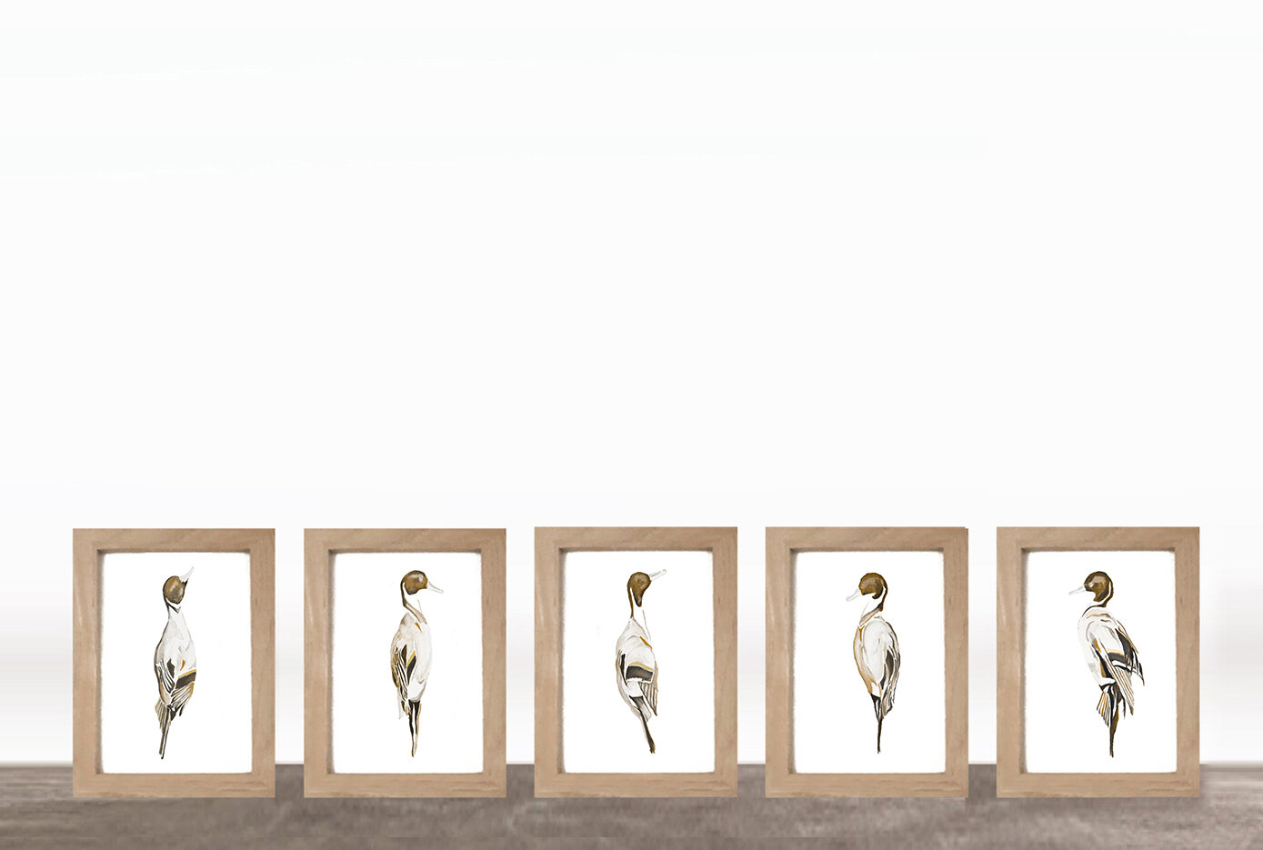 FRAMED PRINTS: RED MALLARD SET OF FIVE