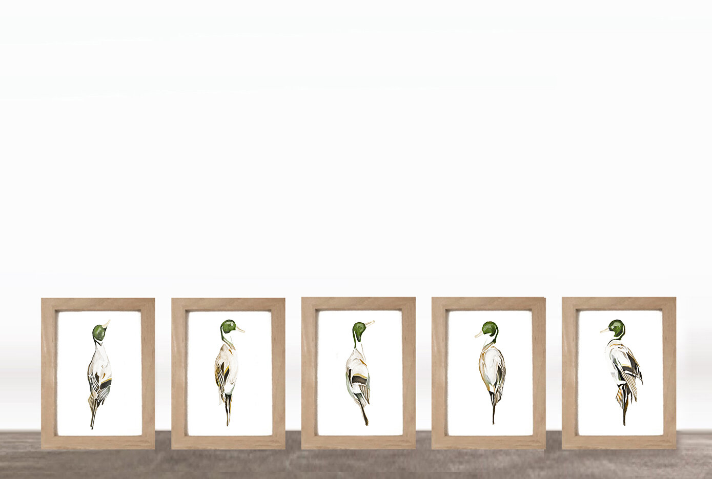 FRAMED PRINTS: MALLARD SET OF FIVE