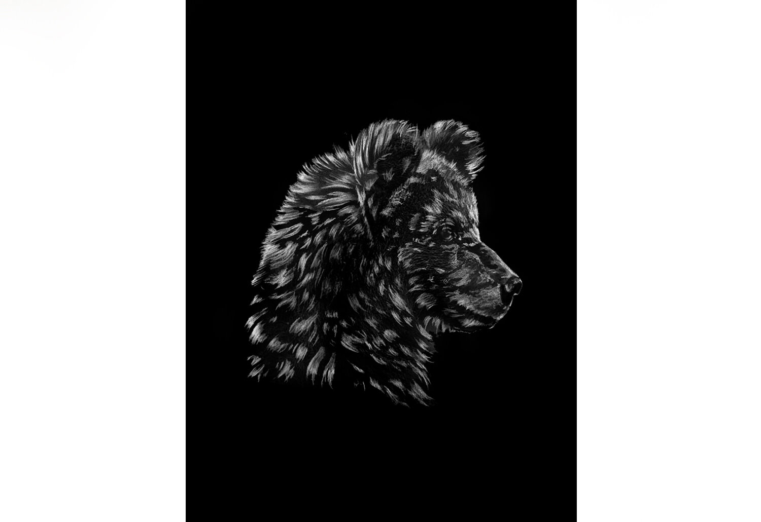 bearsketch-thumbnail.jpg