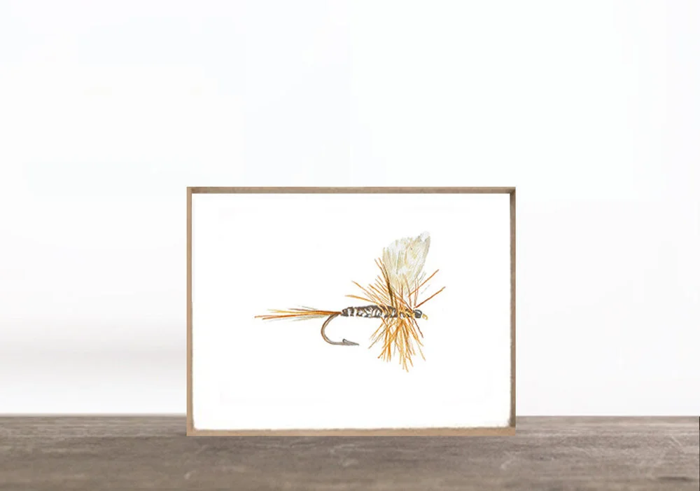 fly2-print.jpg
