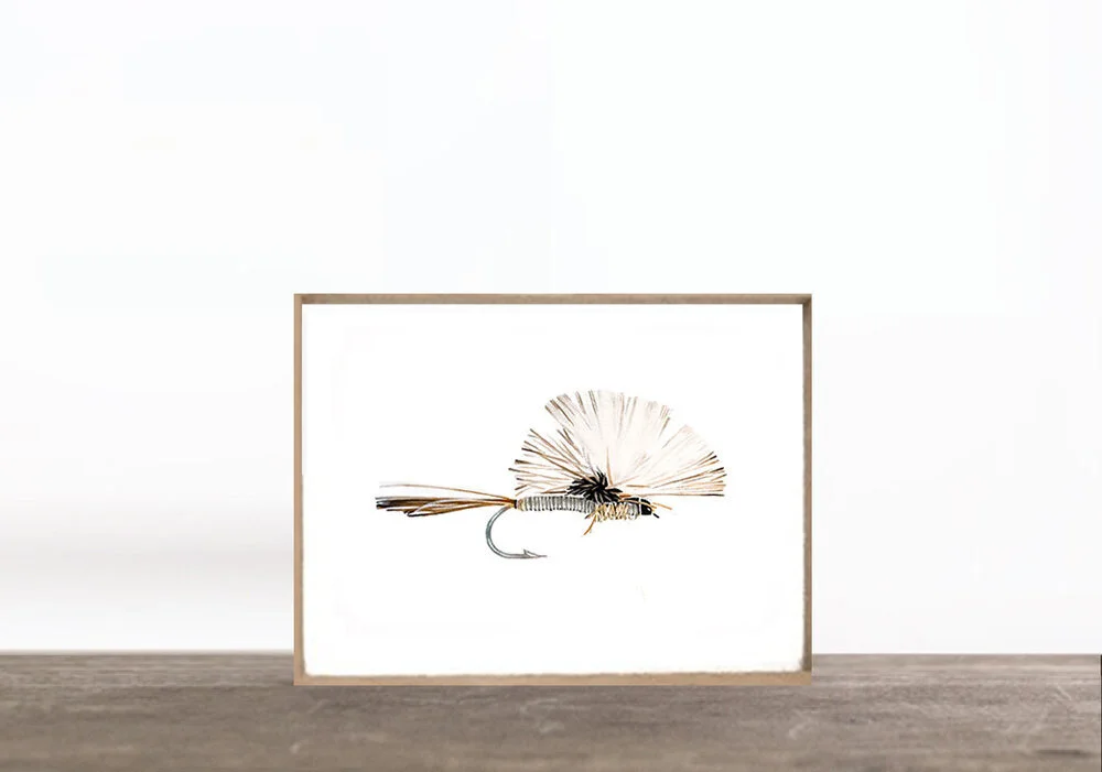 fly8-print.jpg