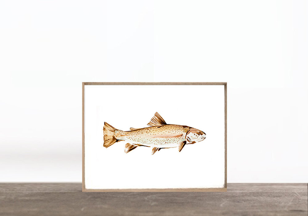 PRINT: TROUT II