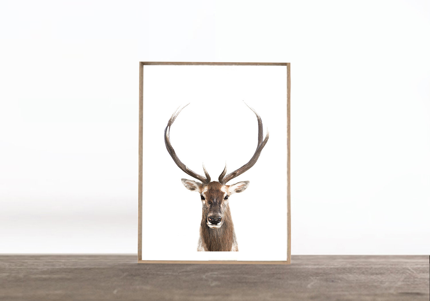 PRINT: ELK