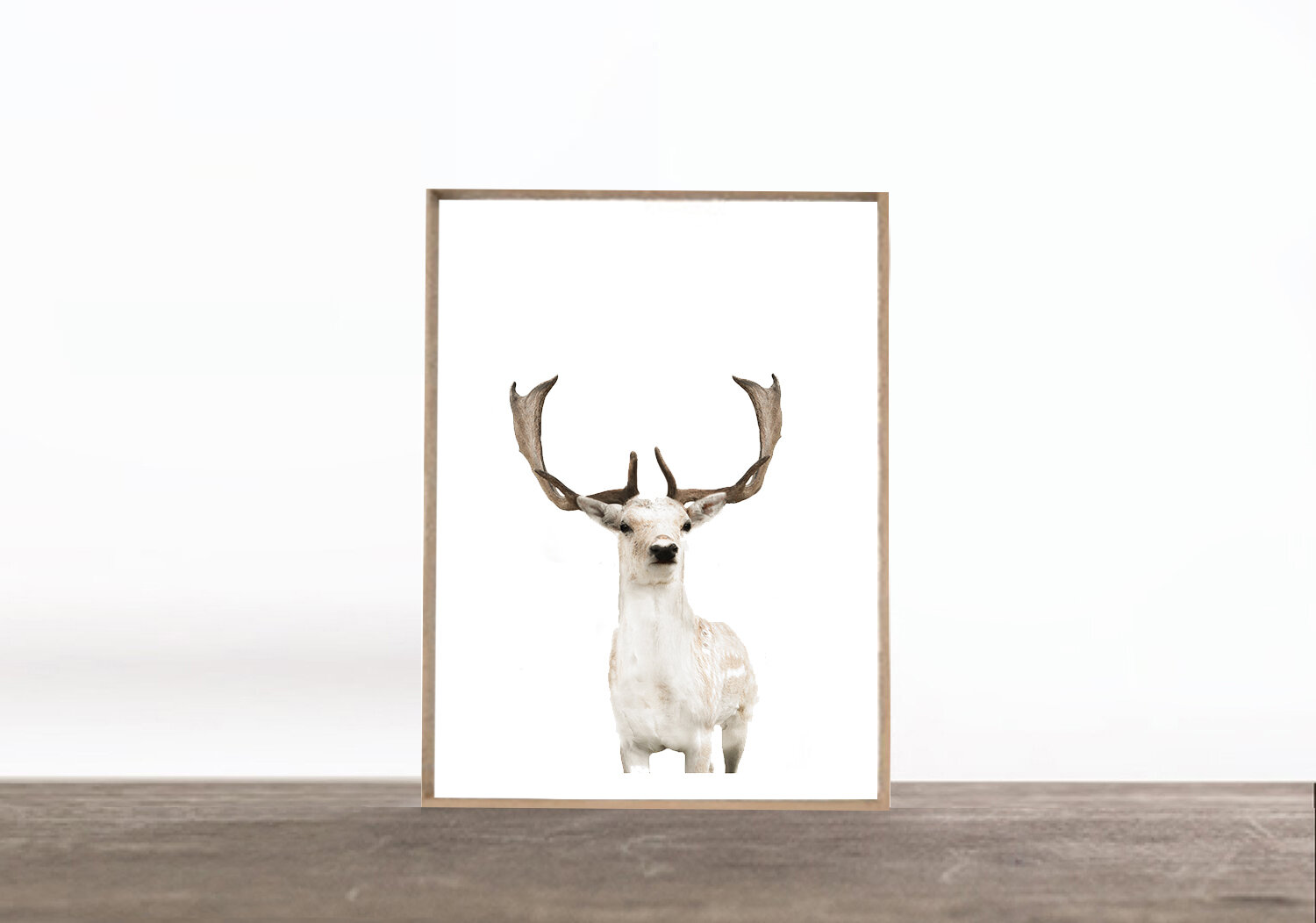 PRINT: WHITE FALLOW