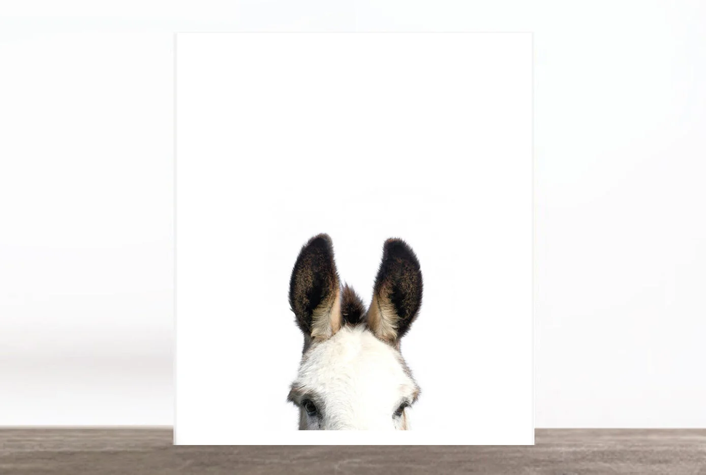 donkeyears.jpg