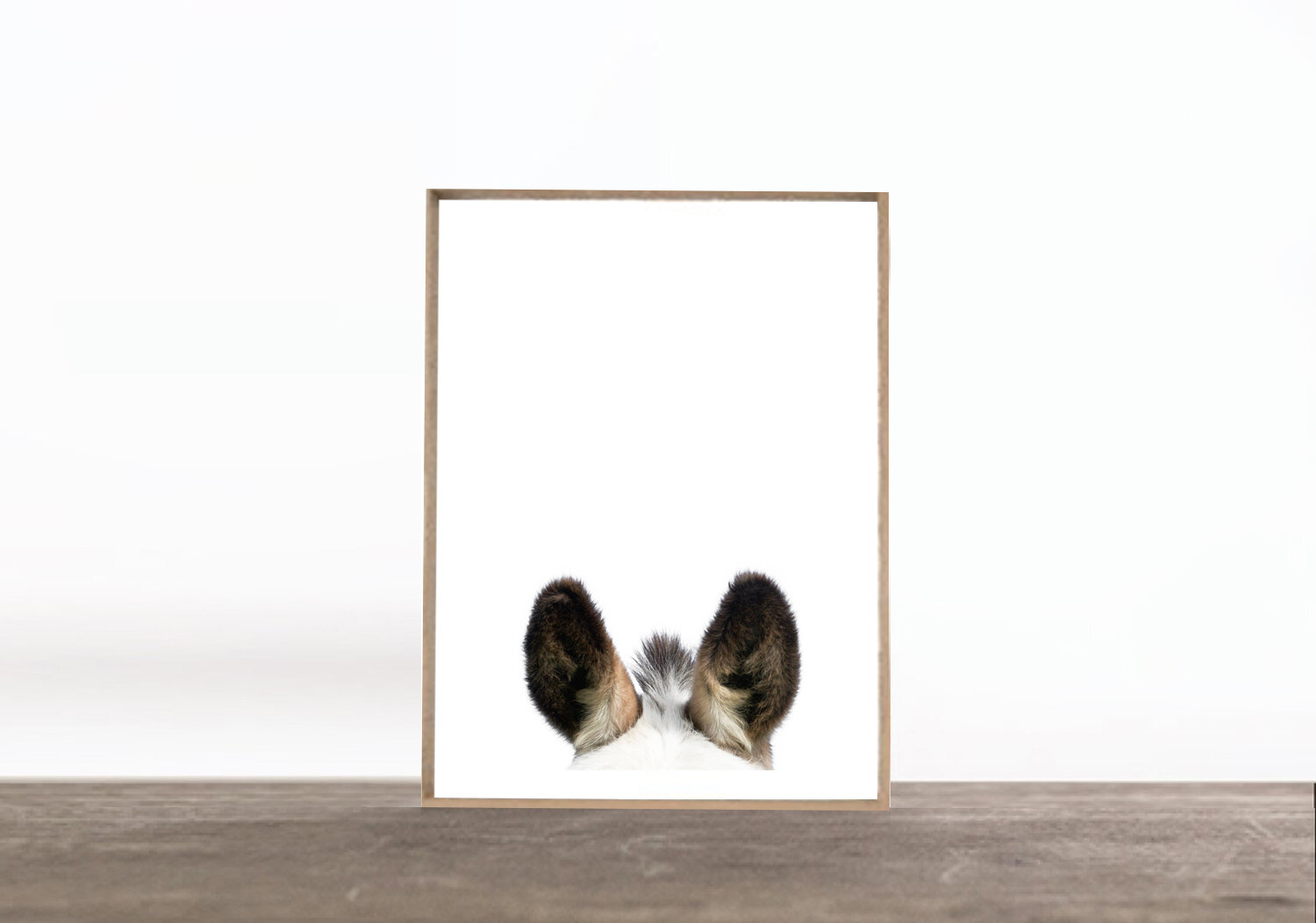 PRINT: JACK'S EARS II