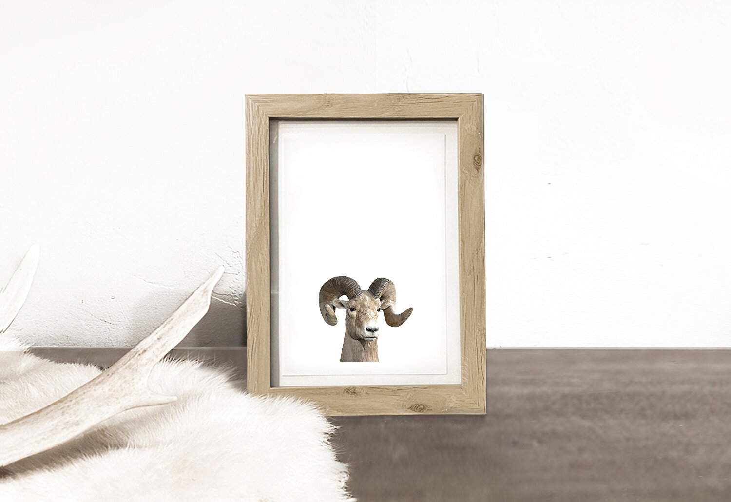 FRAMED PRINT: BIG HORN