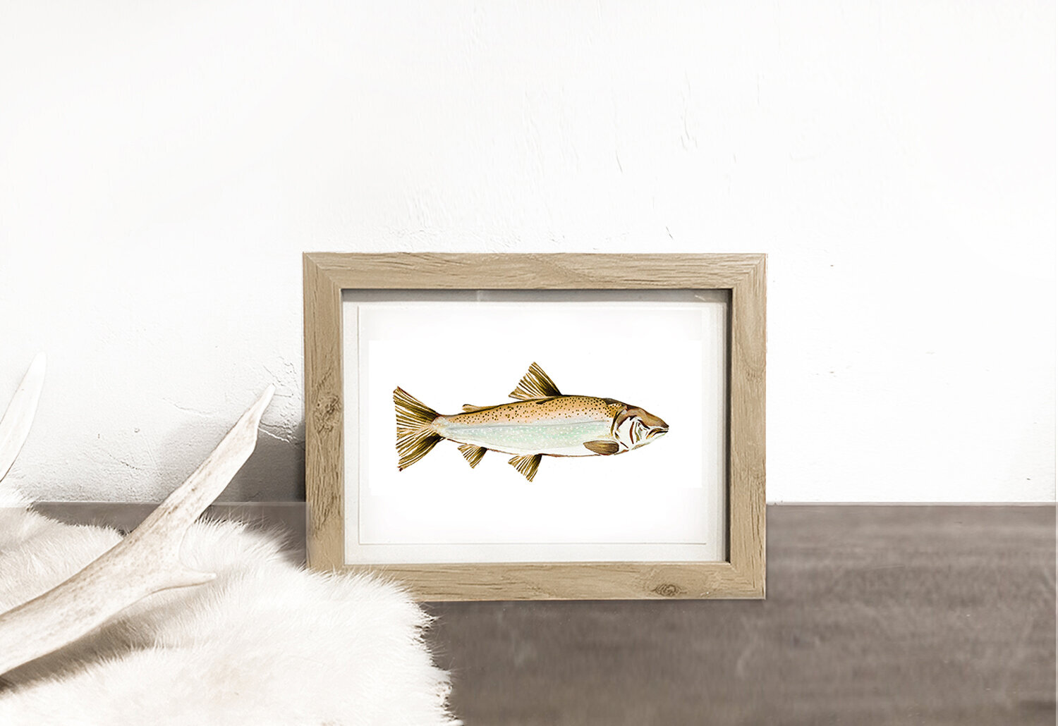 FRAMED PRINTS: TROUT VII 
